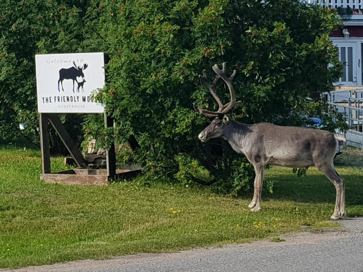 The Friendly Moose Hotel Overtornea Luaran gambar