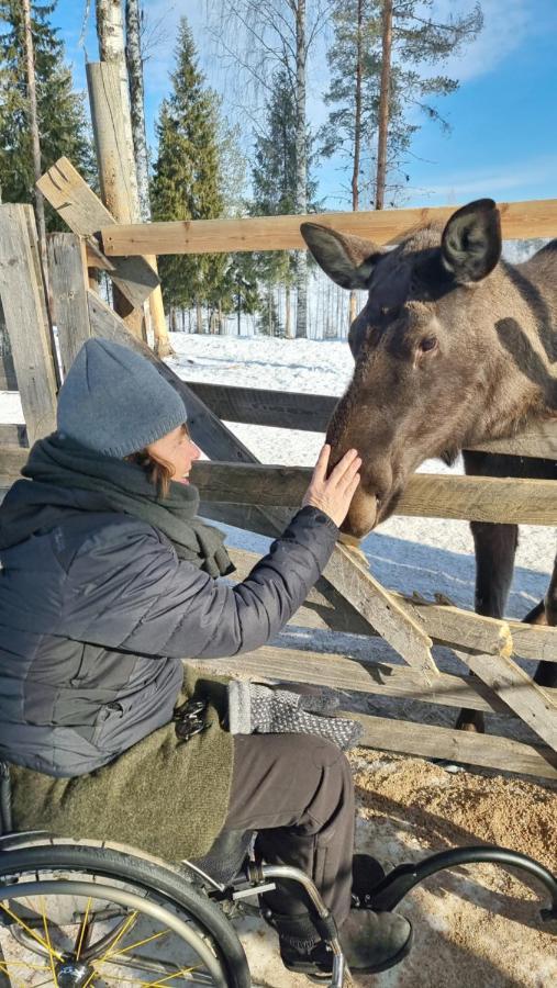 The Friendly Moose Hotel Overtornea Luaran gambar